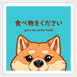 A hungri Japanese Shiba Inu puppy Magnet